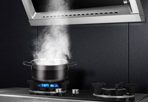 廚衛(wèi)電器企業(yè)唯有提升產(chǎn)品原創(chuàng)度 才能走進(jìn)消費(fèi)者的心