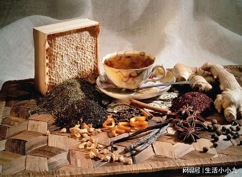 中醫養生保健 傳統文化與現代健康的融合