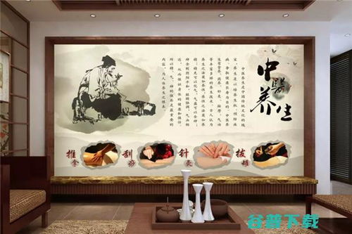 加盟中醫(yī)養(yǎng)生館 前景展望與籌備指南